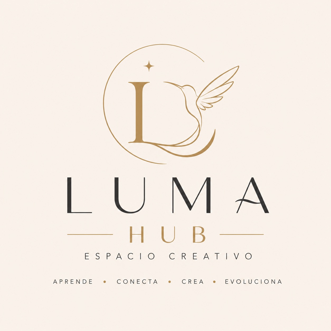 Detalle del ambiente de LUMA HUB